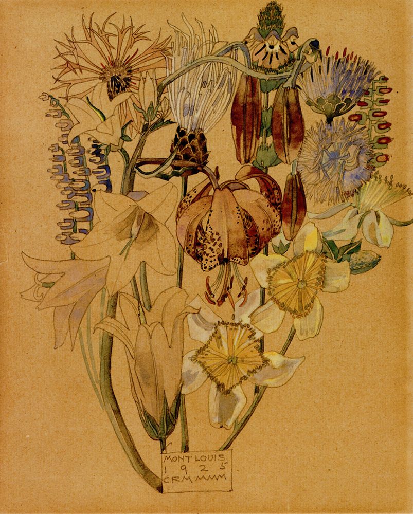 Wall Art Painting id:764668, Name: Flower Study, Mont Louis, Artist: Mackintosh, Charles Rennie