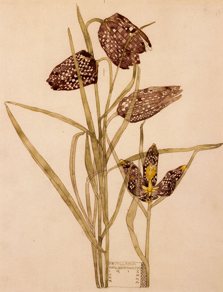 Wall Art Painting id:764670, Name: Fritillaria, Walberswick 1915, Artist: Mackintosh, Charles Rennie