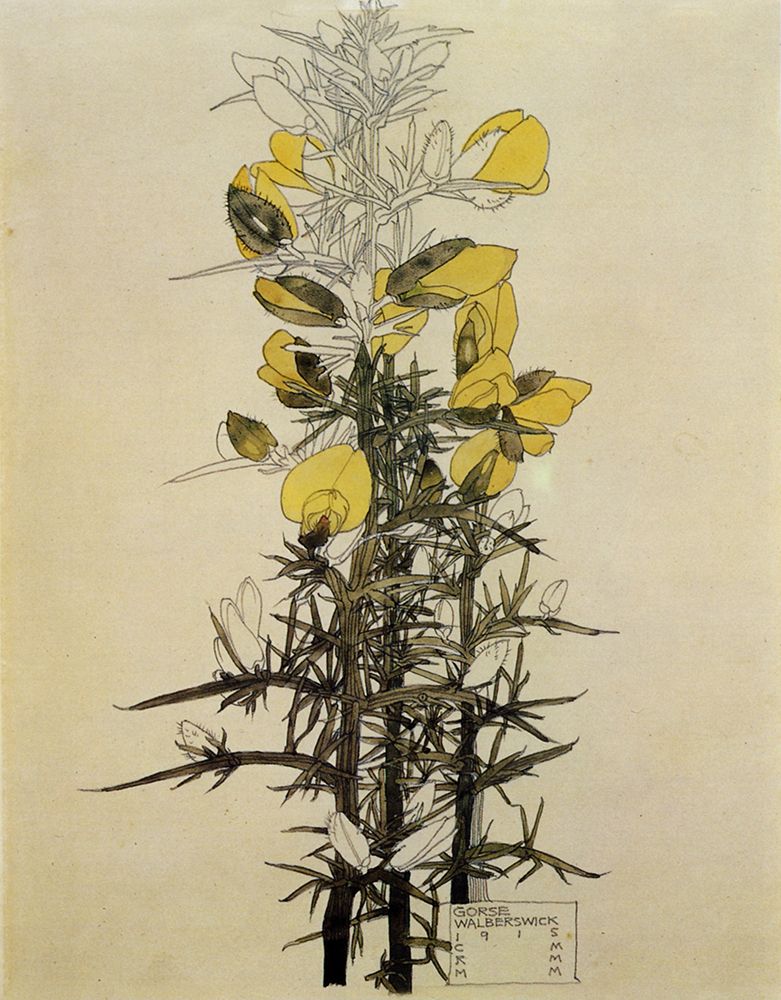 Wall Art Painting id:764671, Name: Gorse, Walberswick 1915, Artist: Mackintosh, Charles Rennie