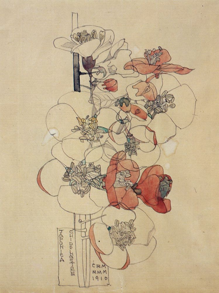 Wall Art Painting id:764673, Name: Japonica, Chiddingstone 1910, Artist: Mackintosh, Charles Rennie