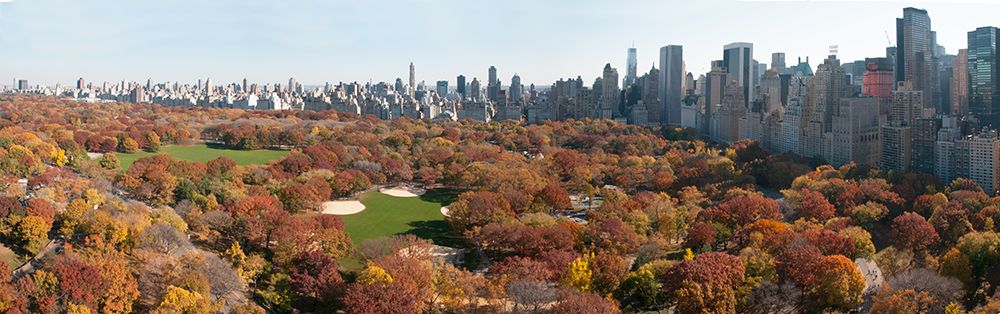 Art Print: Central Park Panorama