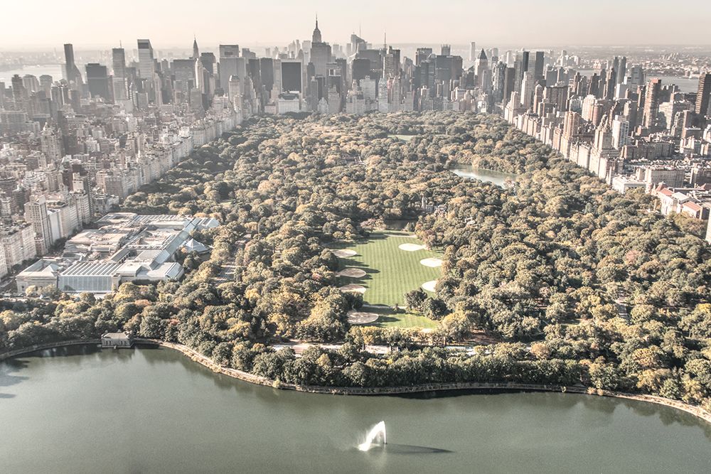 Art Print: Central Park