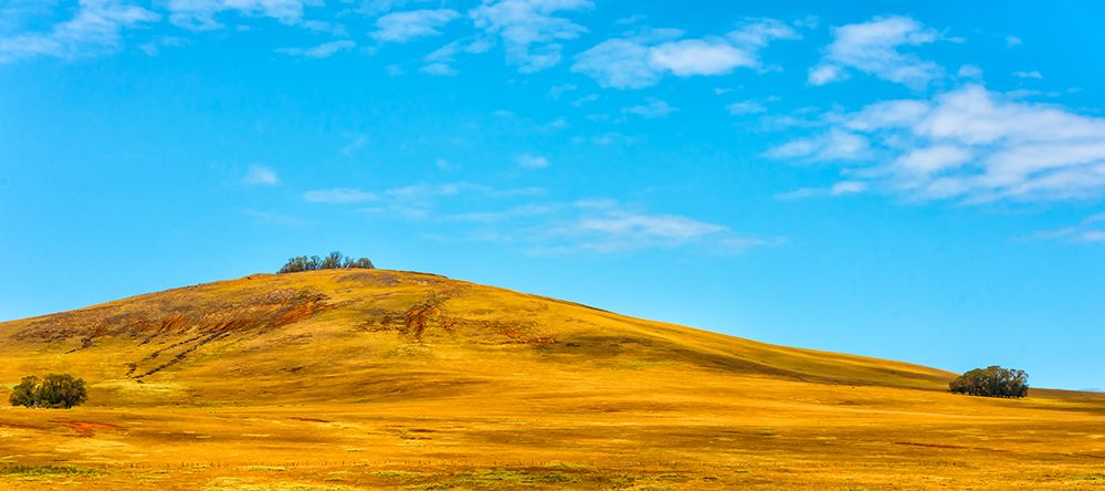 Art Print: Rolling Hills