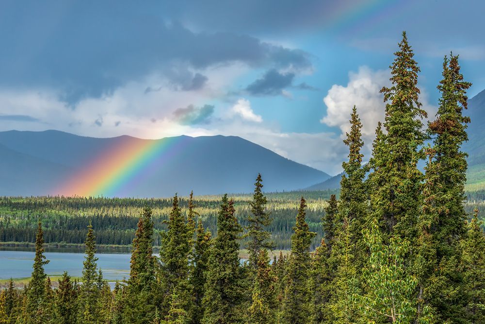 Art Print: Yukon Rainbow