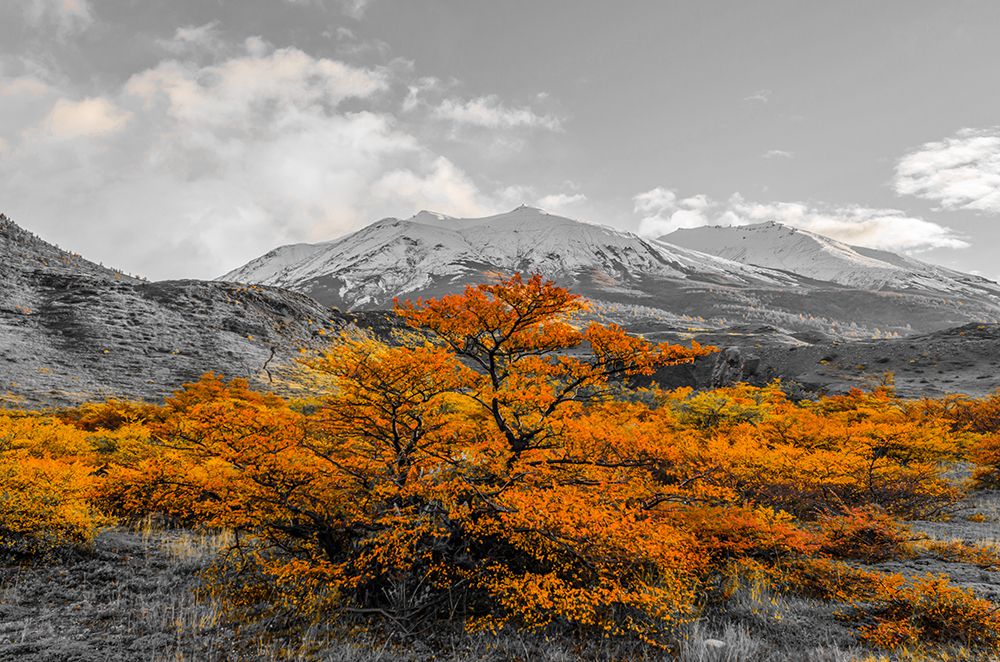 Similar wall art painting: 646422