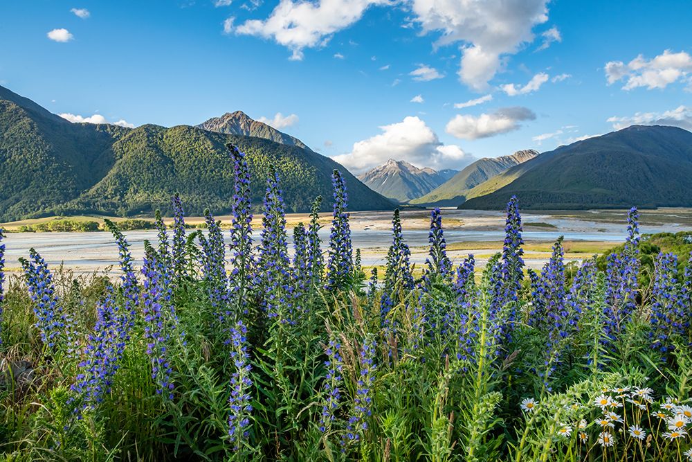 Art Print: South Island New Zealand