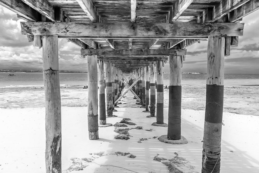 Art Print: Wooden Beach Walk