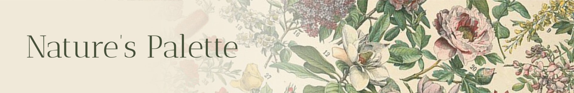Nature's Pallete banner
