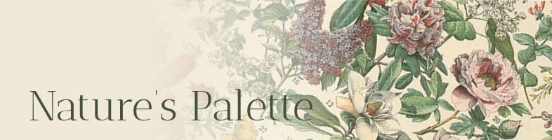 Nature's Pallete banner