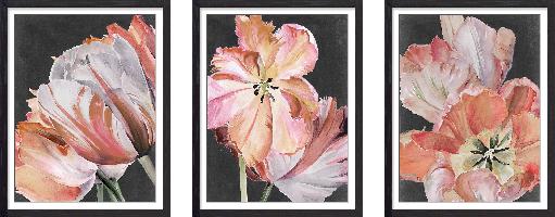 Set of wall art painting,Pastel Parrot Tulips 