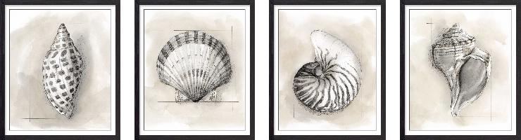Set of wall art painting,Shell Schematic 