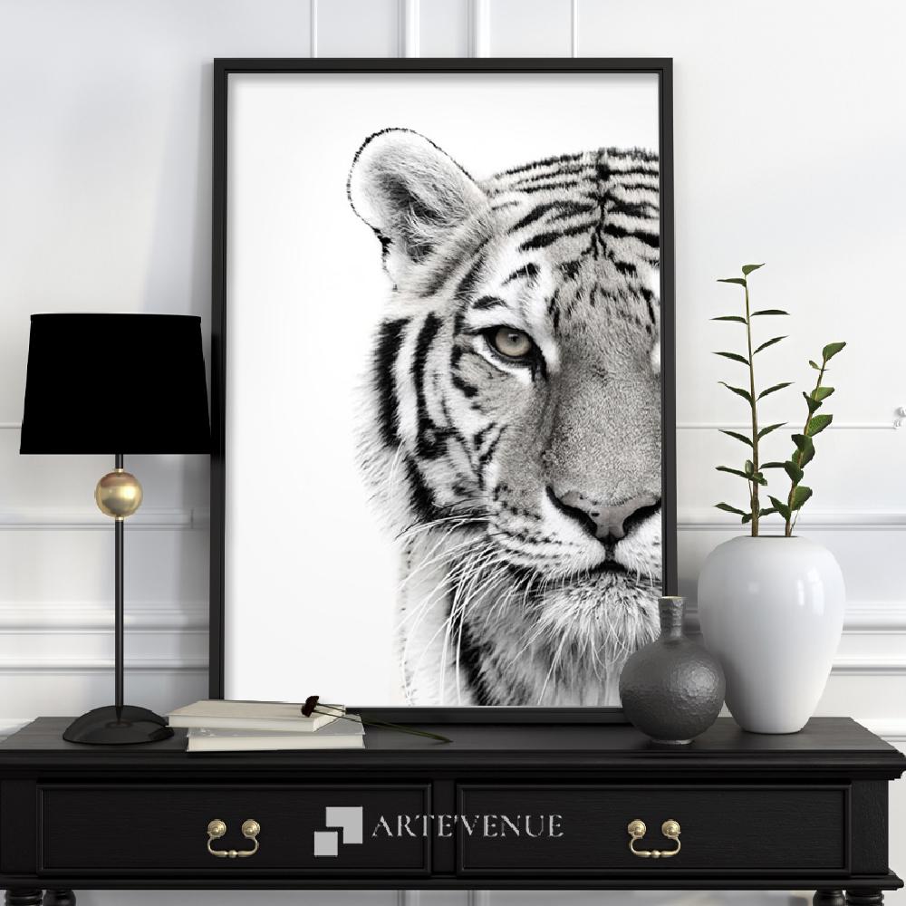 Set of wall art paintings full view