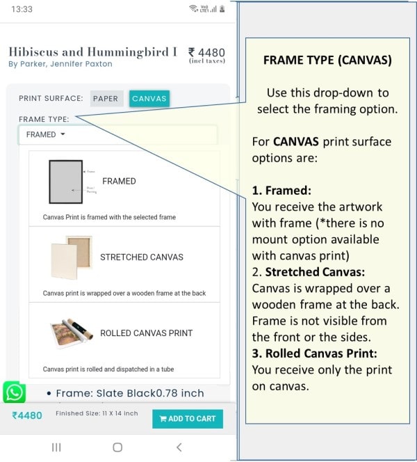 Choose Frame Type - Canvas