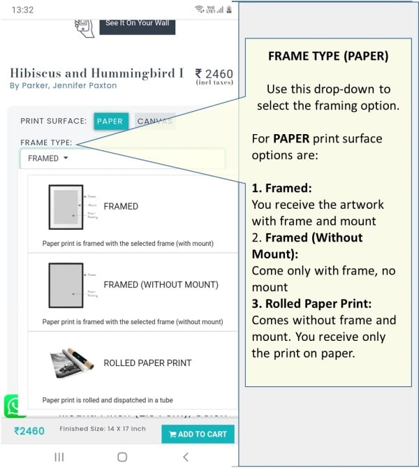 Choose Frame Type - Paper