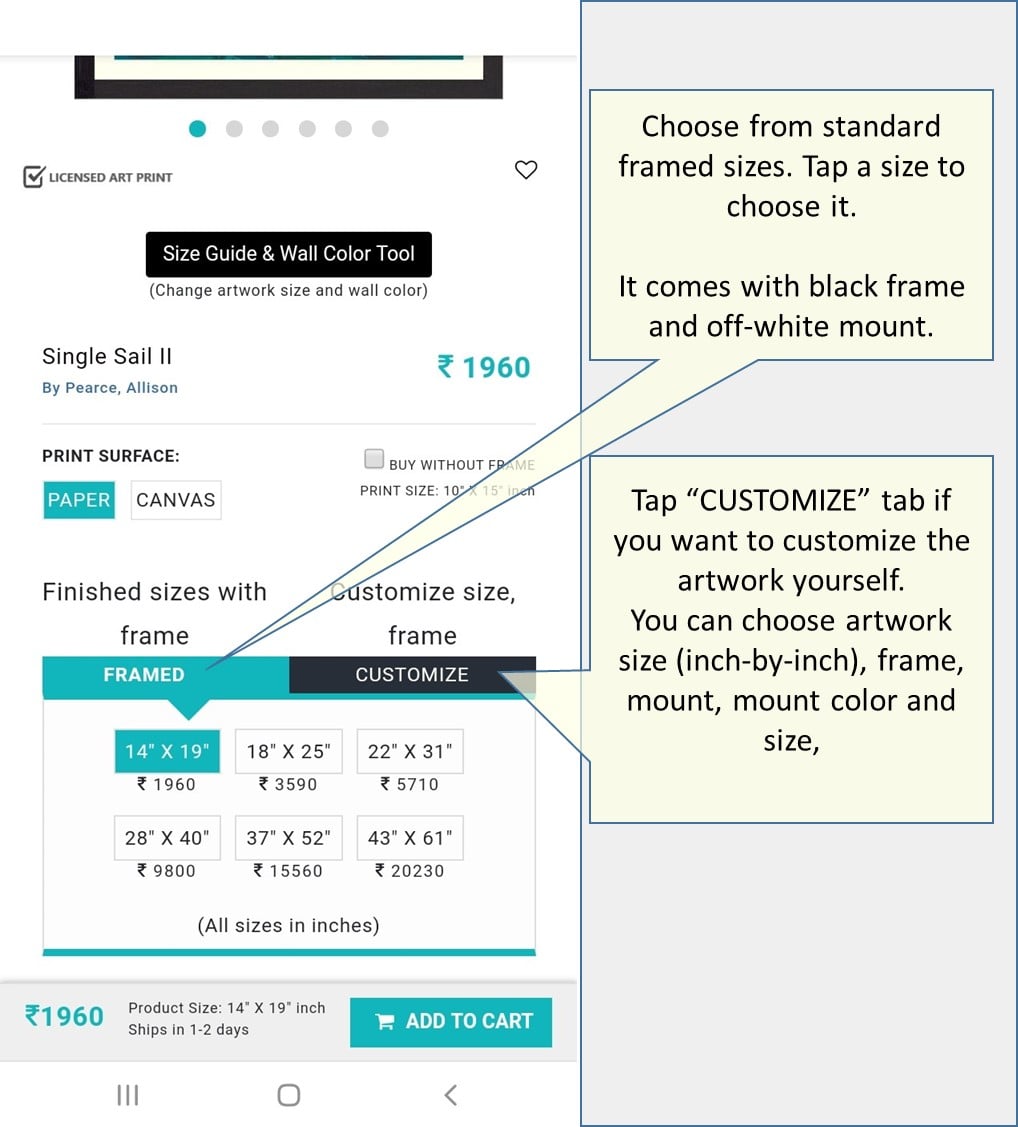 Buy Framed or Customize